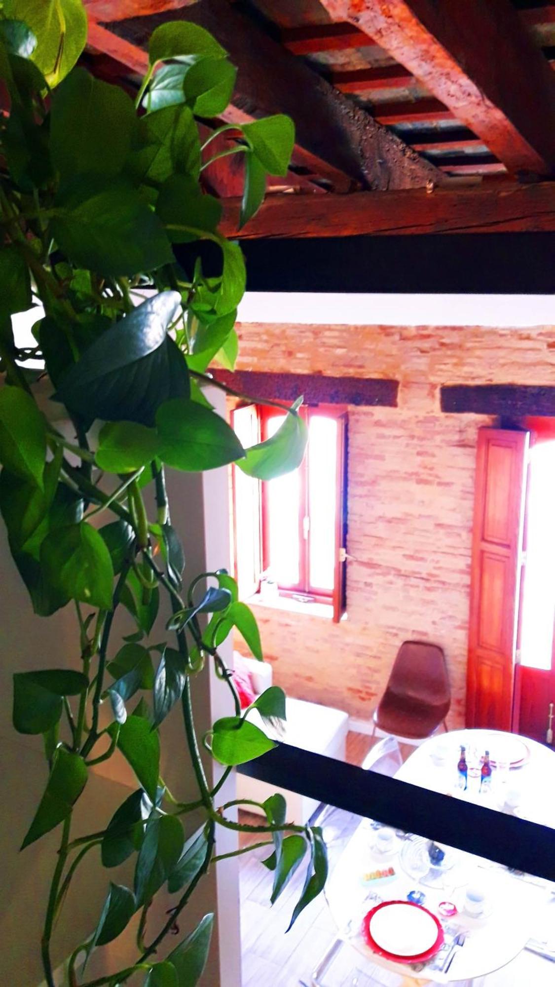 Bolseria Centricos Apartamentos En El Carmen فالنسيا المظهر الخارجي الصورة